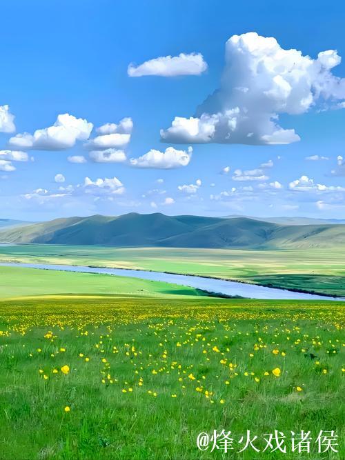 青青草高清视频下载 - 畅享绿色清晰画质