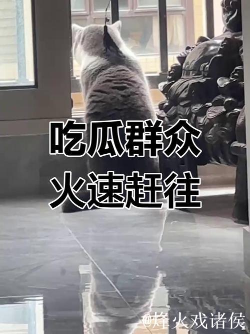 全民围观吃瓜天堂网探秘